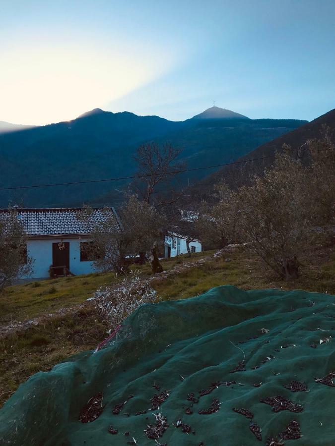 Gasthaus "Casa Da Russa" Mountain Experience Vila Real Exterior foto