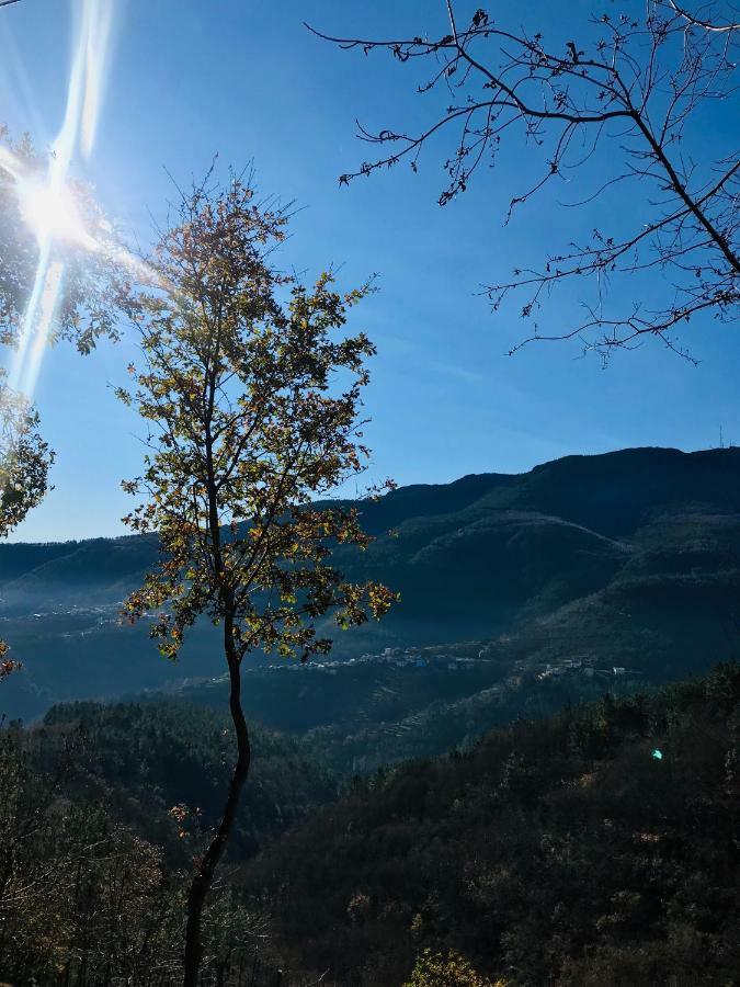Gasthaus "Casa Da Russa" Mountain Experience Vila Real Exterior foto